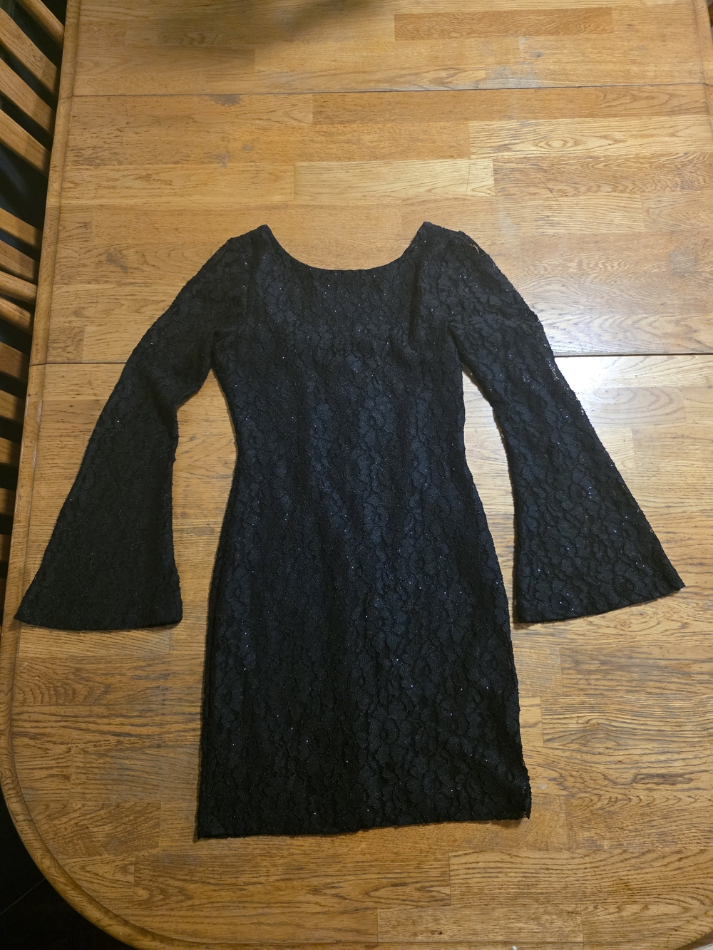 Classic Lace Whimsigoth Witchy Bell Sleeve Glittered Dress